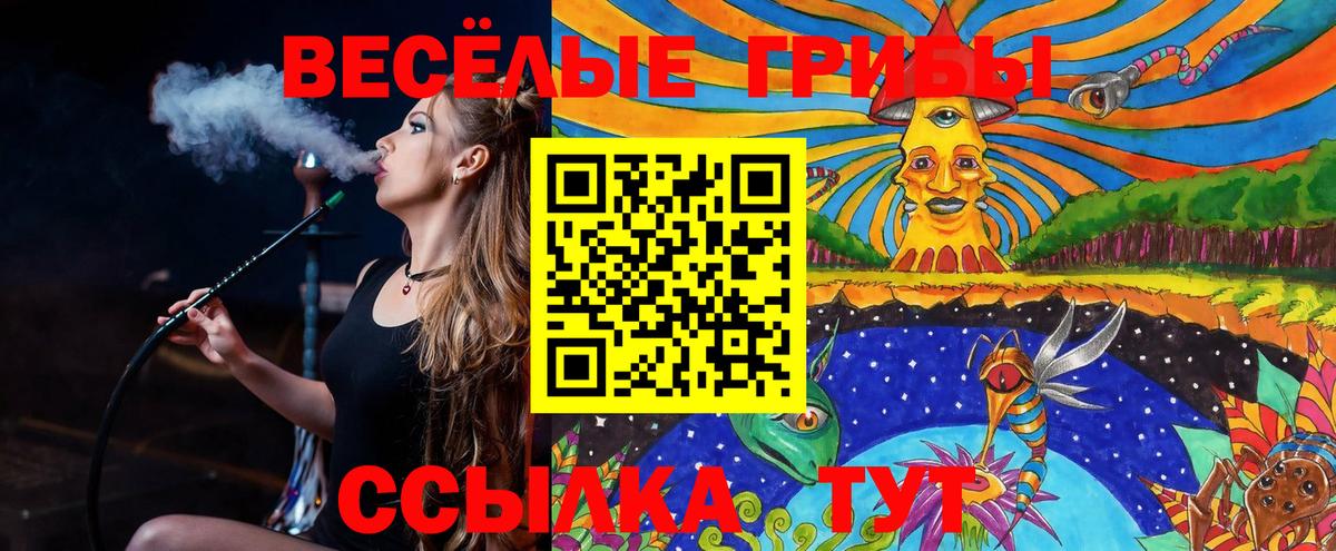 Галлюциногенные грибы прущие грибы Заинск