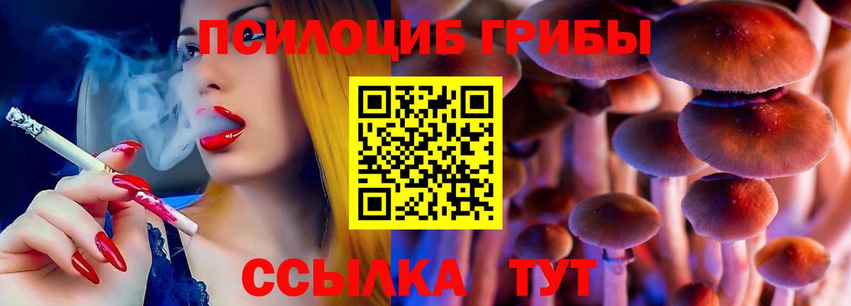 Псилоцибиновые грибы Magic Shrooms  Псилоцибиновые грибы Psilocybine cubensis  Заинск  Вход с VPN 