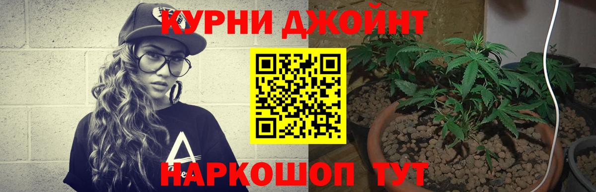 Канабис планчик  Вход с VPN  Марихуана семена  Заинск  Каннабис марихуана 